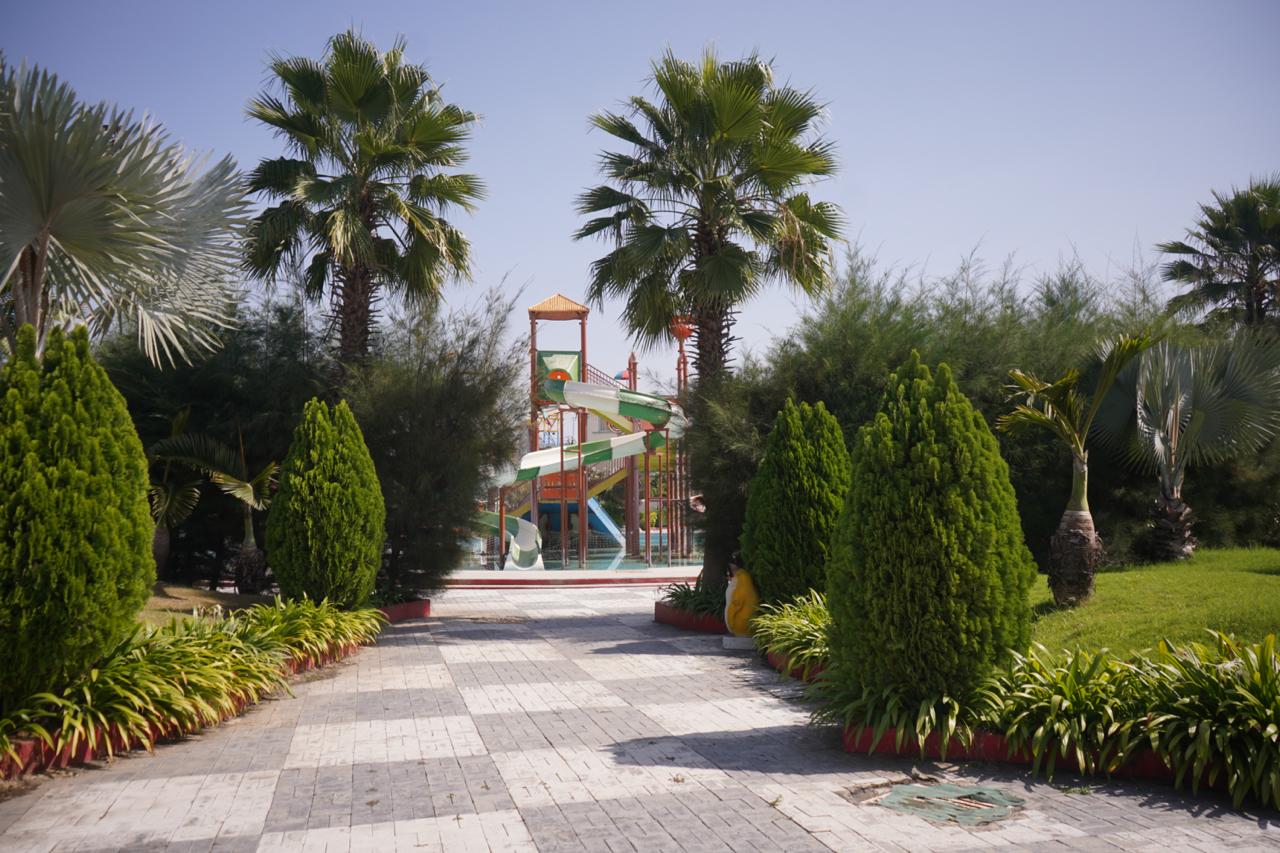 Garden